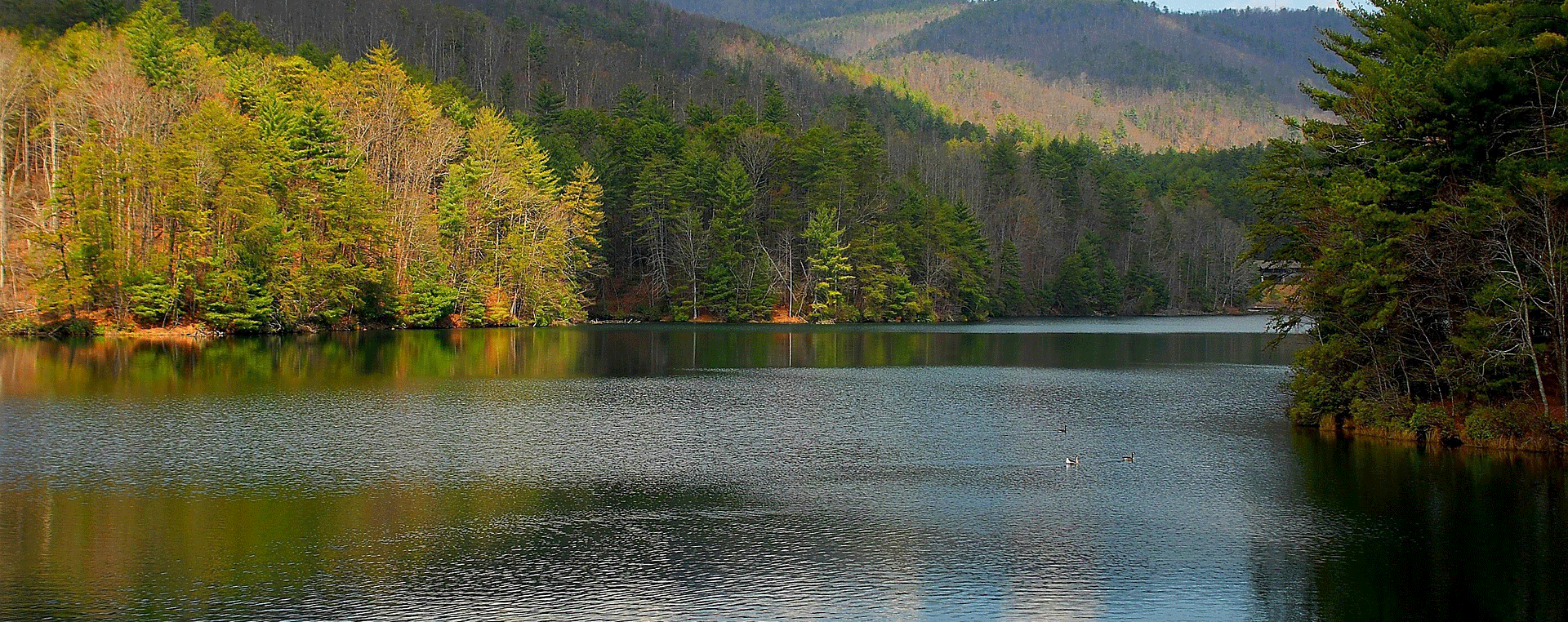 On Call - ebook and interactive video